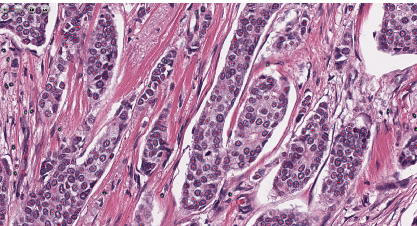 S-BIOS cell typing interface on microscopy data